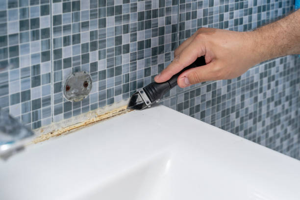 Best Mold Cleaning Services  in Benton, KY